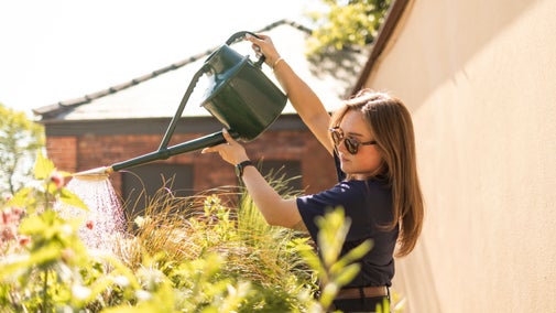 In the morning light a gardener waters a raised bed of plants from above with a long necked watering can.
